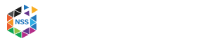 Nitish Software Solutions Logo